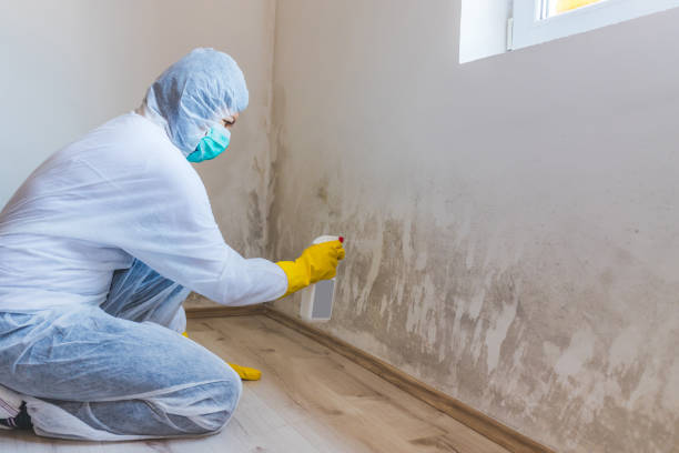 Licensed Mold Remediation service in Carrsville, VA - 24 Hour Mold Removal