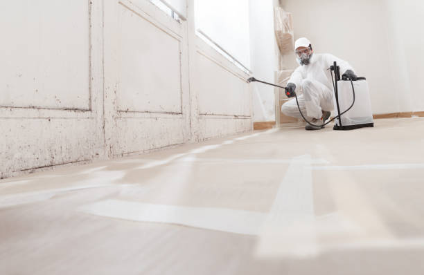 24/7 Emergency Mold Remediation experts in Carrsville, VA
