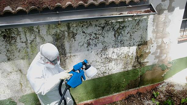Top rated local Mold Remediation specialists in Carrsville, VA